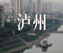 泸州市企事业单位“十五五”规划编制方向指导建议【国企十五五规划-事业单位十五五规划】