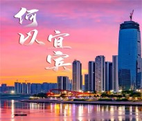 宜宾市企事业单位十五五规划编制方向指导建议【国企十五五规划-事业单位十五五规划】