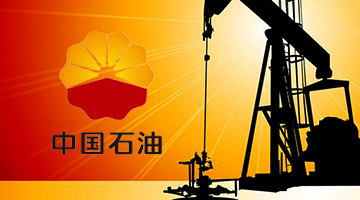 【中国石油】【人力资源内控体系】-成都管理yabo60公司